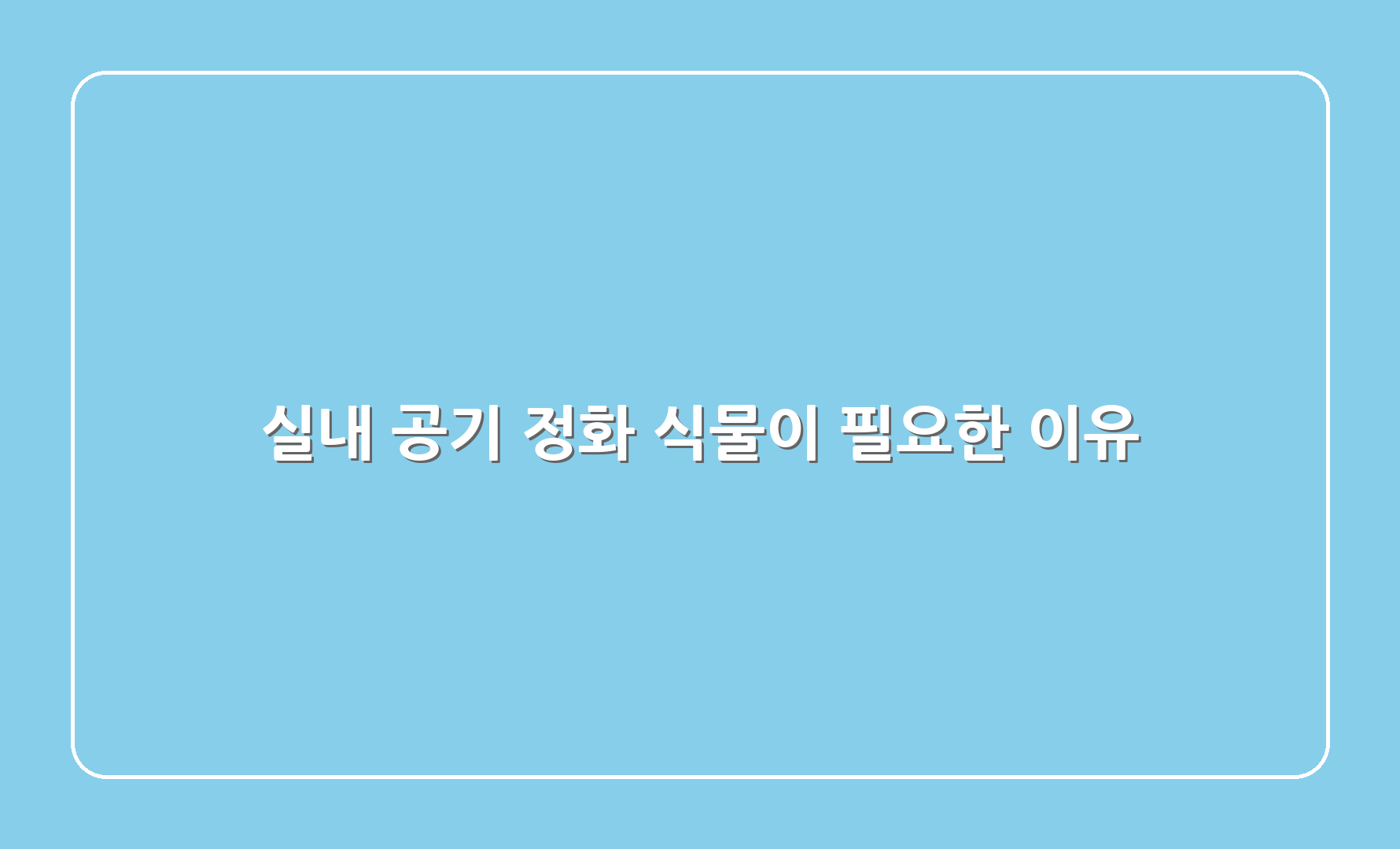 실내 공기 정화 식물이 필요한 이유