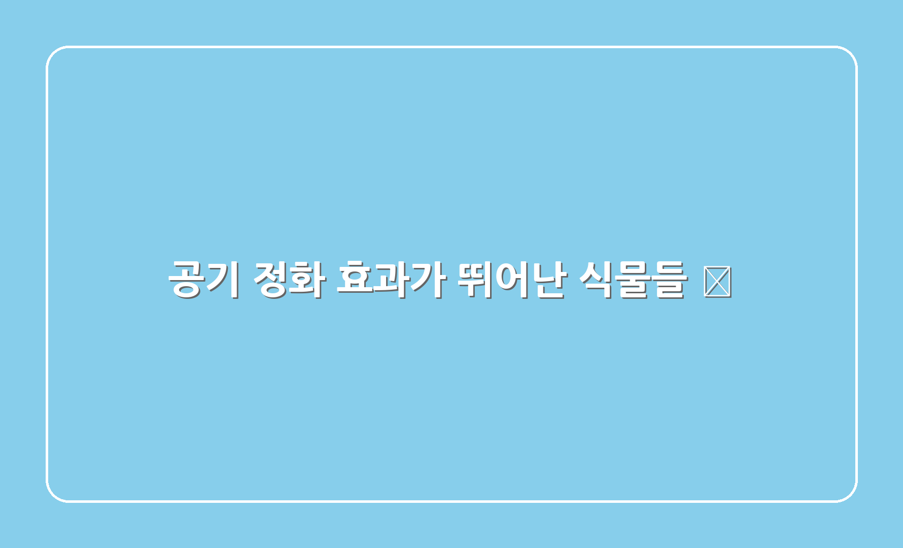 공기 정화 효과가 뛰어난 식물들 🌱