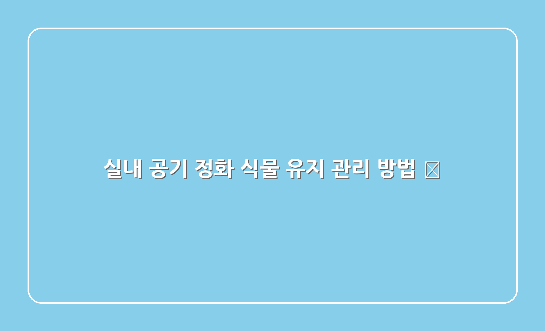 실내 공기 정화 식물 유지 관리 방법 🔧