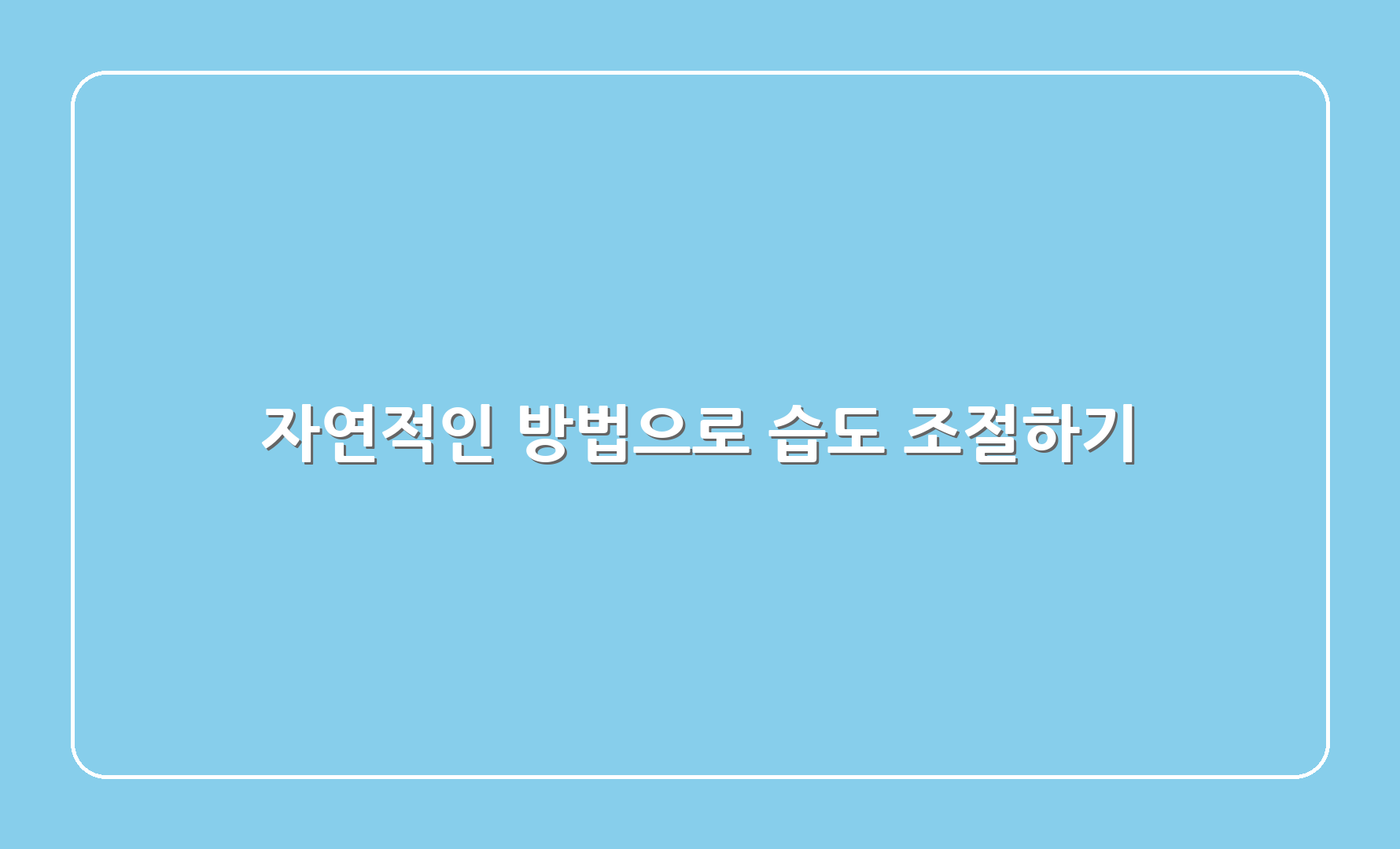 자연적인 방법으로 습도 조절하기